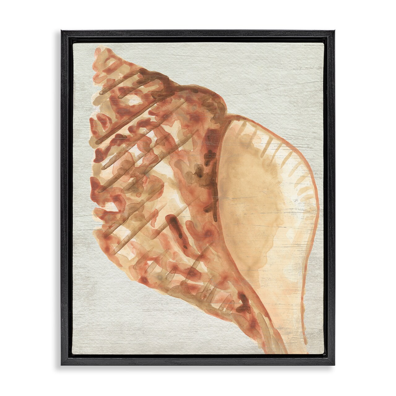 Stupell Industries Tan Conch Shell Floater Framed Canvas Wall Art Design by June Erica Vess